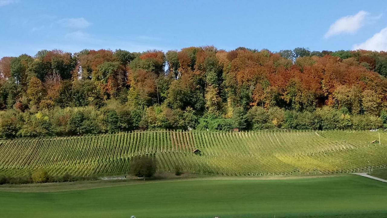Ferienzimmer Zuelli Erlach Экстерьер фото